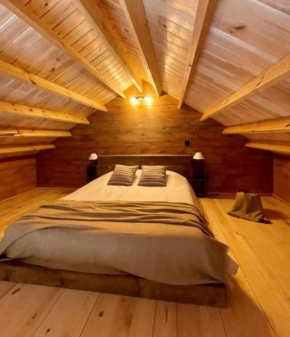 Mountain Eco Shelter 9